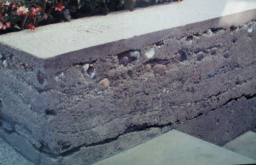 Lithocrete Sedimentary Wall Sample